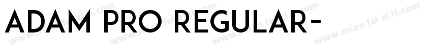 Adam PRO Regular字体转换